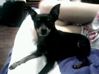 Mi chiquitito <3 Mi chiquitito <3